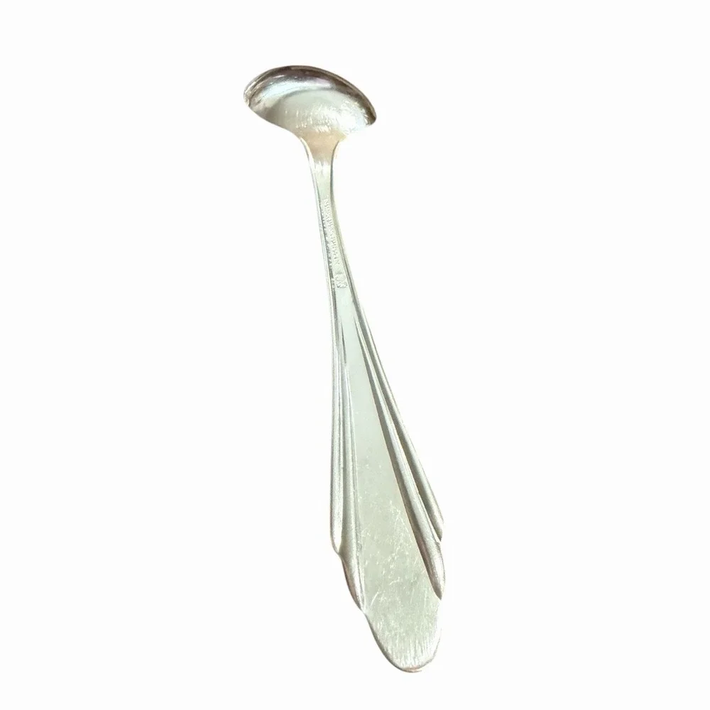 Rogers‎ & Bro Reinforced Plate MODERN ROSE International Silver 1949 Soup Spoon
